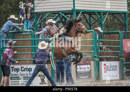 Saddle Bronc Riding, ritmo tra un cowboy e il suo cavallo è la chiave in Saddle Bronc. Azione selvatici come cavallo tenta di buck off rider. Cranbrook, BC, Canada Foto Stock