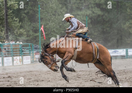 Saddle Bronc Riding, ritmo tra un cowboy e il suo cavallo è la chiave in Saddle Bronc. Azione selvatici come cavallo tenta di buck off rider. Cranbrook, BC, Canada Foto Stock