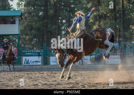 Saddle Bronc Riding, ritmo tra un cowboy e il suo cavallo è la chiave in Saddle Bronc. Azione selvatici come cavallo tenta di buck off rider. Cranbrook, BC, Canada. Foto Stock