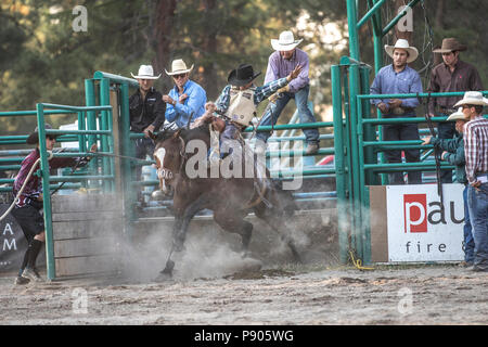 Saddle Bronc Riding, ritmo tra un cowboy e il suo cavallo è la chiave in Saddle Bronc. Azione selvatici come cavallo tenta di buck off rider. Cranbrook, BC, Canada. Foto Stock