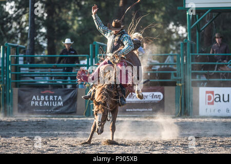 Saddle Bronc Riding, ritmo tra un cowboy e il suo cavallo è la chiave in Saddle Bronc. Azione selvatici come cavallo tenta di buck off rider. Cranbrook, BC, Canada. Foto Stock