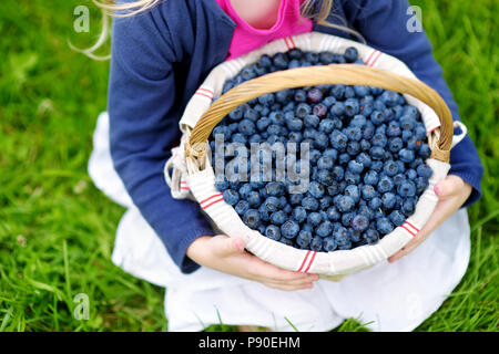 Close-up di childs mani di mirtilli freschi raccolti all organic blueberry farm Foto Stock