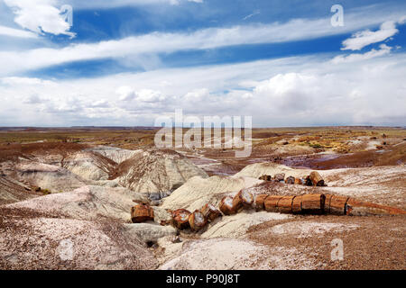 Incredibile legno pietrificato nel Parco Nazionale della Foresta Pietrificata, Arizona, Stati Uniti d'America Foto Stock