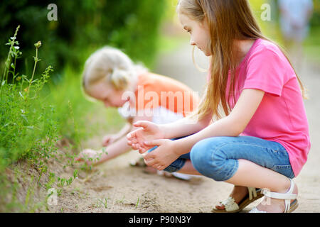 Due adorabili poco ragazza cattura babyfrogs nella foresta di estate Foto Stock