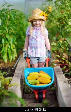 Carriola giocattolo, bambini guanti da giardino e attrezzi da giardino.  Carino giocattoli per esterni di gioco di giardinaggio Foto stock - Alamy