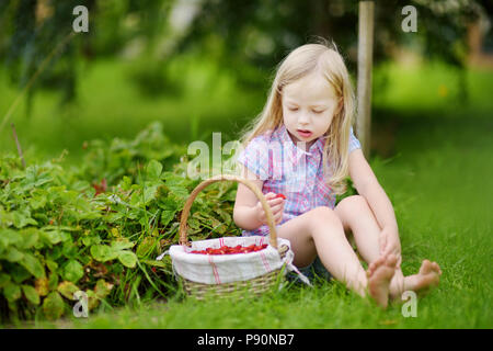 Carino bambina picking fresche fragole selvatiche su organic strawberry farm su sole e caldo giorno d'estate Foto Stock