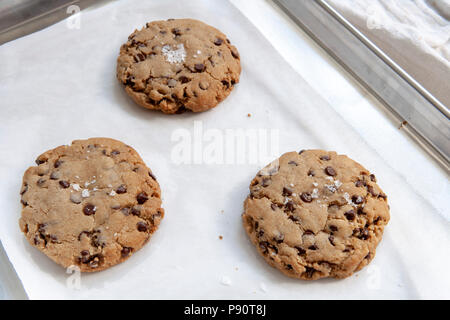 I biscotti al cioccolato sulla placca da forno Foto Stock