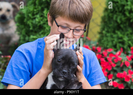 Carino bulldog francese cucciolo con little boy Foto Stock