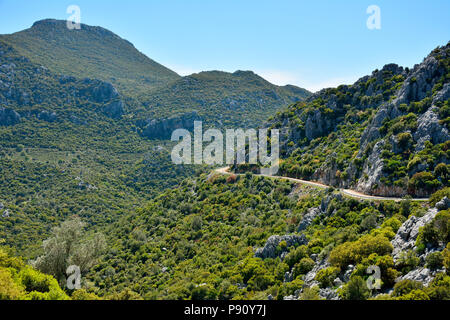Strada di Montagna sulla penisola di Bozburun vicino a Marmaris Località di villeggiatura in Turchia. Foto Stock