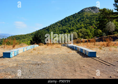 Righe di alveari sulla penisola di Bozburun vicino a Marmaris Località di villeggiatura in Turchia. Foto Stock
