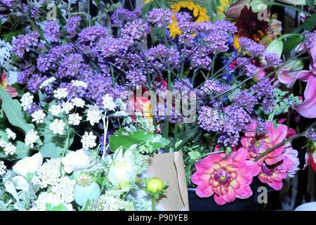 Bella disposizione colorato di fiori che mostra viola, rosa, giallo e bianco fiori. Foto Stock
