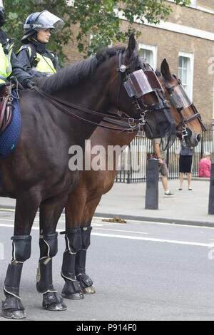 La polizia e i cavalli della polizia in pieno le attrezzature antisommossa per le strade di Londra Foto Stock