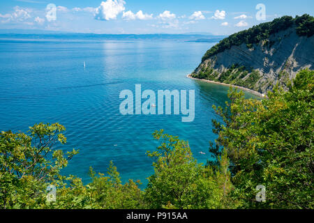 Strunjan, Slovenia, 14 luglio 2018. Scogliera e spiaggia presso il Mare Adriatico in Strunjan riserva naturale, che è il più lungo tratto di costa incontaminata Foto Stock