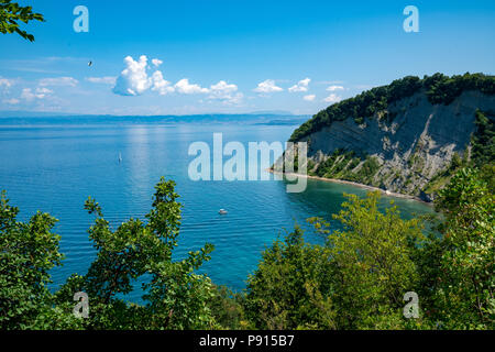 Strunjan, Slovenia, 14 luglio 2018. Scogliera e spiaggia presso il Mare Adriatico in Strunjan riserva naturale, che è il più lungo tratto di costa incontaminata Foto Stock