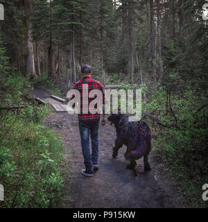 Uomo canadese e razza gigante nero cane di Terranova a piedi nella foresta. Foto Stock