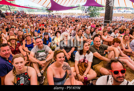 Una folla immensa sit, guardando, comico Alan Davies, performing live al Festival Latitude, Henham Park, Suffolk, Inghilterra, 14 luglio, 2018 Foto Stock