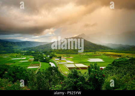 Bellissima vista del taro campi nella bellissima valle di Hanalei sull isola di Kauai, Hawaii Foto Stock