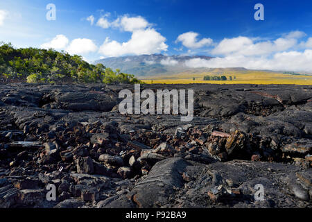 La superficie ruvida della lava congelati dopo il vulcano Mauna Loa eruzione sulla Big Island, Hawaii, STATI UNITI D'AMERICA Foto Stock