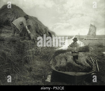 . 454 Peter Henry Emerson - Ricking Reed - Foto Stock