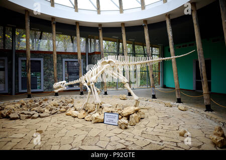 TSKALTUBO, Georgia - 18 novembre 2016: scheletro di dinosauro, situato in Sataplia riserva naturale vicino a Kutaisi town, Georgia. Educare circa exstinct Foto Stock