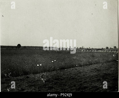 446 Panorama der gedeckten Schützengräben eigener Infanterie am Höhenrucken östlich von Wólka Prusicka. Mit deutlich erkennbaren Schießscharten. (BildID 15589162) Foto Stock