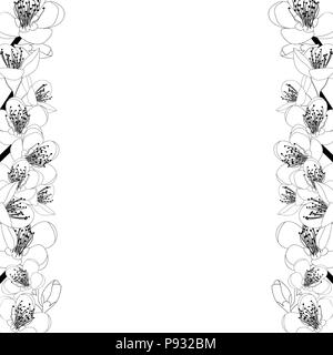 Prunus persica - Peach Flower Blossom bordo presente isolato su sfondo bianco. Illustrazione Vettoriale. Illustrazione Vettoriale