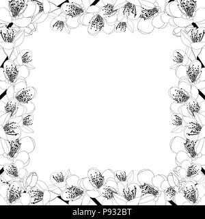 Prunus persica - Peach Flower Blossom bordo presente isolato su sfondo bianco. Illustrazione Vettoriale. Illustrazione Vettoriale