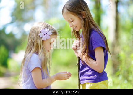 Due adorabile bambina babyfrogs cattura in estate foresta. Attivi in estate il tempo libero con i bambini. Foto Stock