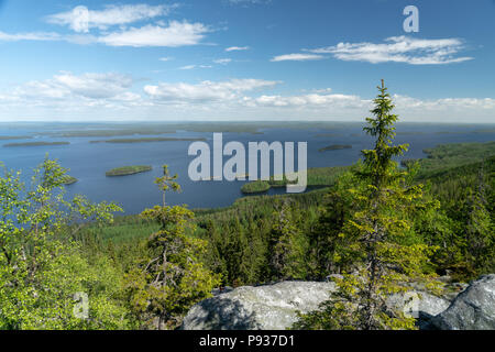 Panorama sul lago Pielinen in Koli National Park in Finlandia al giorno d'estate e di sole Foto Stock