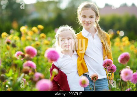 Due graziosi sorelle giocando in fioritura dahlia campo. Bambini a caccia di fiori freschi in dahlia sul prato soleggiato giorno d'estate. I bambini la scelta di fiori per TH Foto Stock