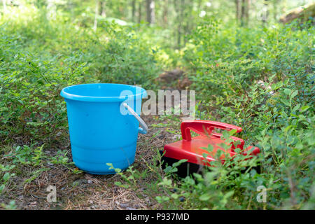 Bacca rossa picker e benna blu per la raccolta di mirtilli di bosco Foto Stock