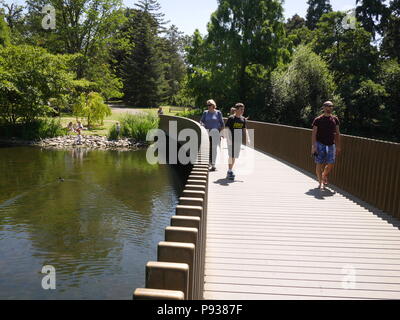 Sackler crossing Kew Gardens LONDRA Foto Stock