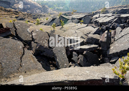 Splendida vista del Kilauea Iki cratere del vulcano superficie con frantumazione di roccia lavica nel Parco Nazionale dei Vulcani di Big Island delle Hawaii, STATI UNITI D'AMERICA Foto Stock