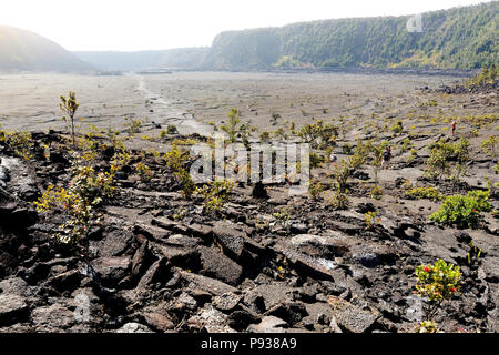 Splendida vista del Kilauea Iki cratere del vulcano superficie con frantumazione di roccia lavica nel Parco Nazionale dei Vulcani di Big Island delle Hawaii, STATI UNITI D'AMERICA Foto Stock