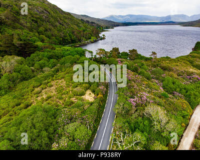 Ciclisti professionisti in competizione in Connemara regione in Irlanda. New Scenic 5 posti di campagna irlandese il paesaggio con le magnifiche montagne all'orizzonte, County G Foto Stock