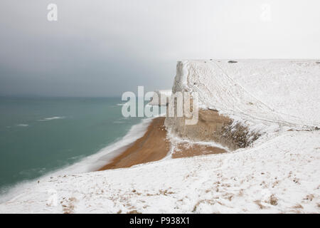 Bat la testa sotto la neve su la costa del Dorset. Foto Stock
