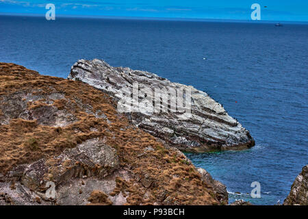 Bow Fiddle Rock (SC18) Foto Stock