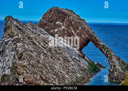 Bow Fiddle Rock (SC18) Foto Stock