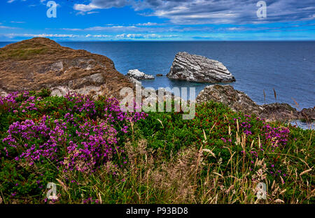 Bow Fiddle Rock (SC18) Foto Stock