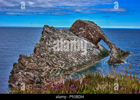 Bow Fiddle Rock (SC18) Foto Stock