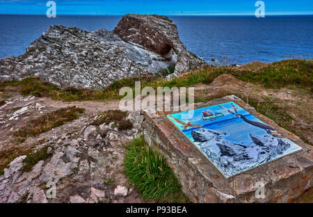 Bow Fiddle Rock (SC18) Foto Stock