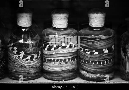 Vasi colorati di Snake vino fermentano sugli scaffali di un negozio - Hanoi, Vietnam Foto Stock