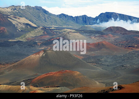 Vulcaniche di coni di scorie - Haleakala National Park, Maui, Hawaii Foto Stock