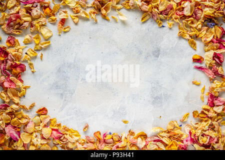 Telaio di essiccato wild petali di rosa bianca sulla superficie dipinta Foto Stock