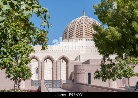 Cupola sopra la preghiera principale hall di Sultan Qaboos grande moschea in Oman, Muscat Foto Stock