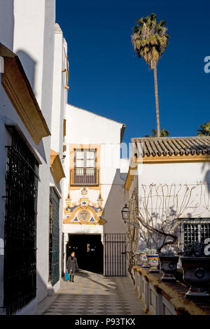 Jardín de Marchena (aka Jardín del Chorrón), Real Alcázar giardini, Sevilla, Andalusia, Spagna Foto Stock