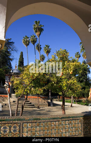 Vista dalla Cenador de Carlos V nel Jardín del Cenador de la Alcoba, Real Alcázar giardini, Sevilla, Andalusia, Spagna Foto Stock