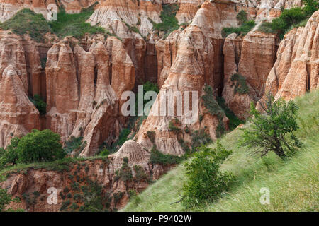 Burrone rosso area protetta e un monumento naturale, geologici e botanici di riserva in Romania Foto Stock