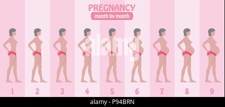 Di mese in mese gravidanza fasi della donna incinta con pantaloni. Tutti gli oggetti e gli stadi del corpo sono in diversi strati e i tipi di testo non hanno bisogno di un Illustrazione Vettoriale