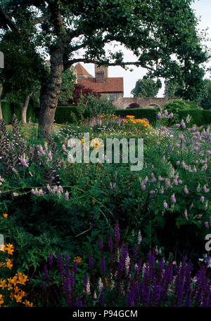 Rosa pallido e blu profondo nel confine di grandi dimensioni al di sotto di albero nel giardino di campagna Foto Stock